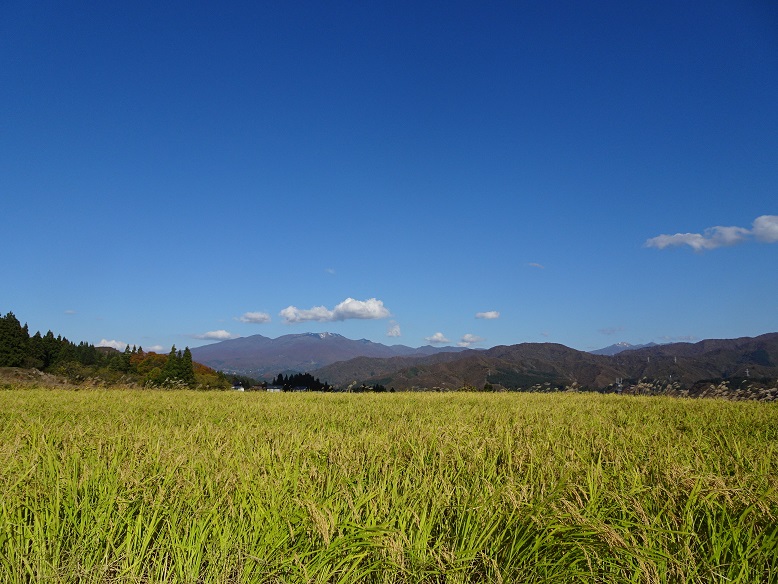 思い出横丁