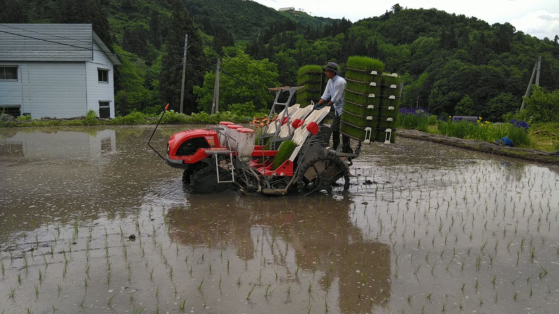 思い出横丁