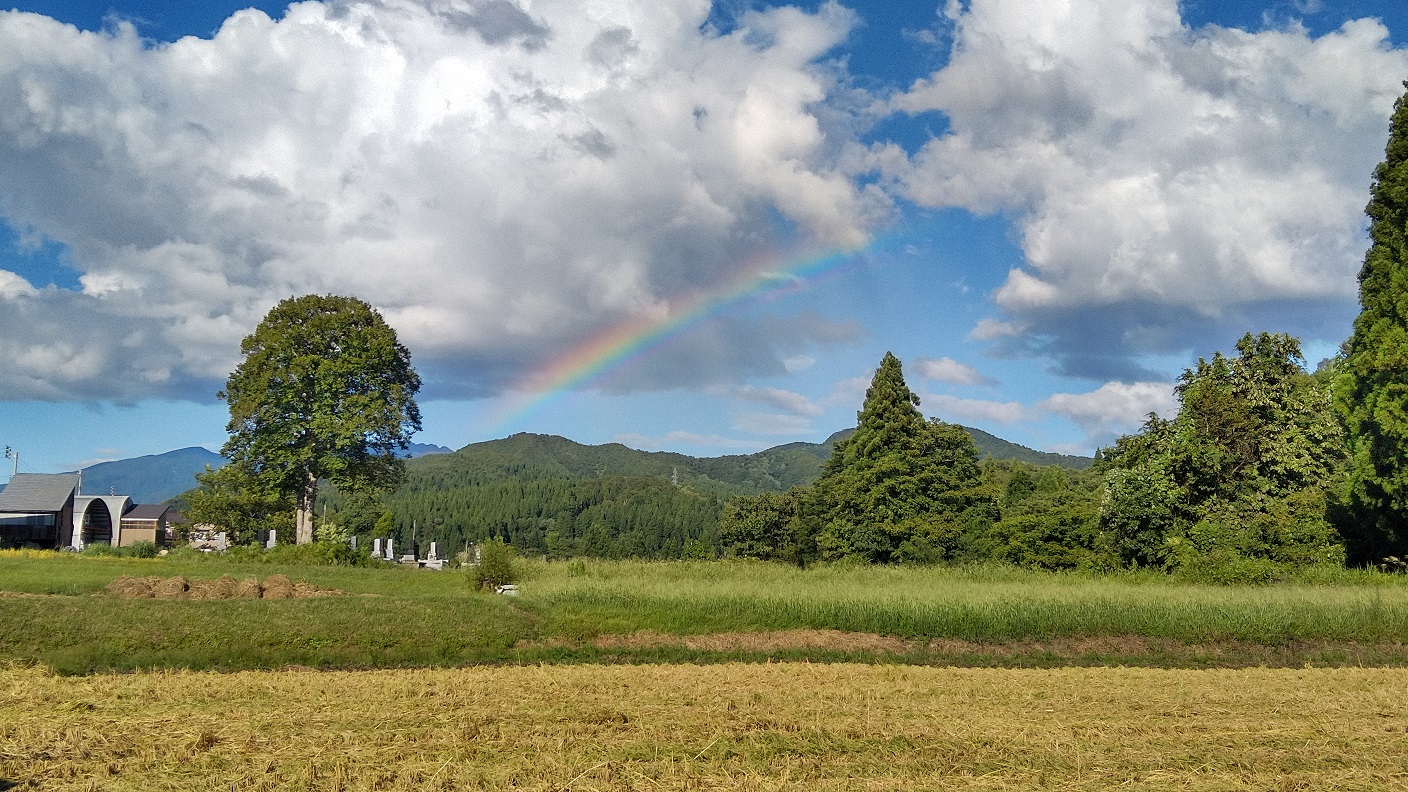 思い出横丁