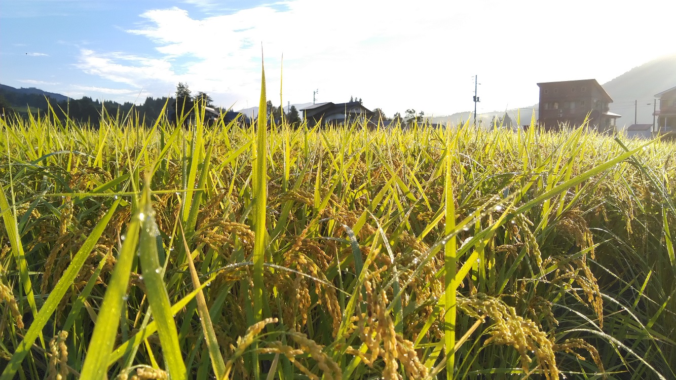 思い出横丁