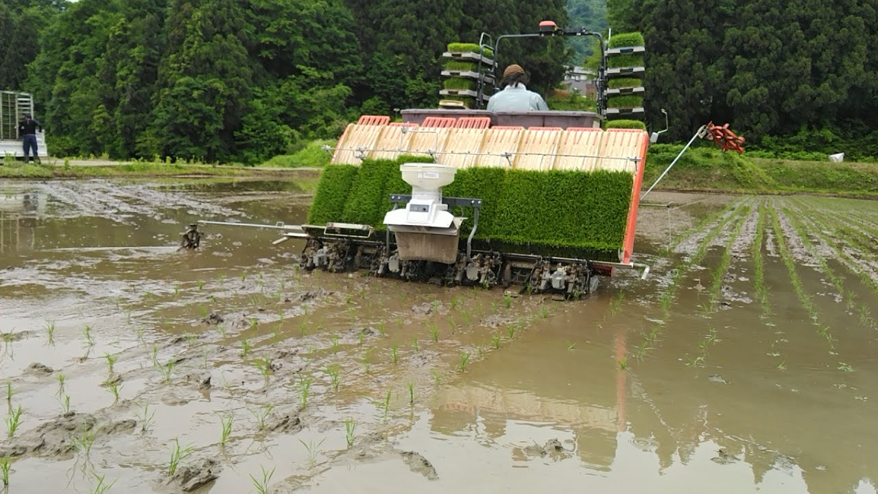 思い出横丁