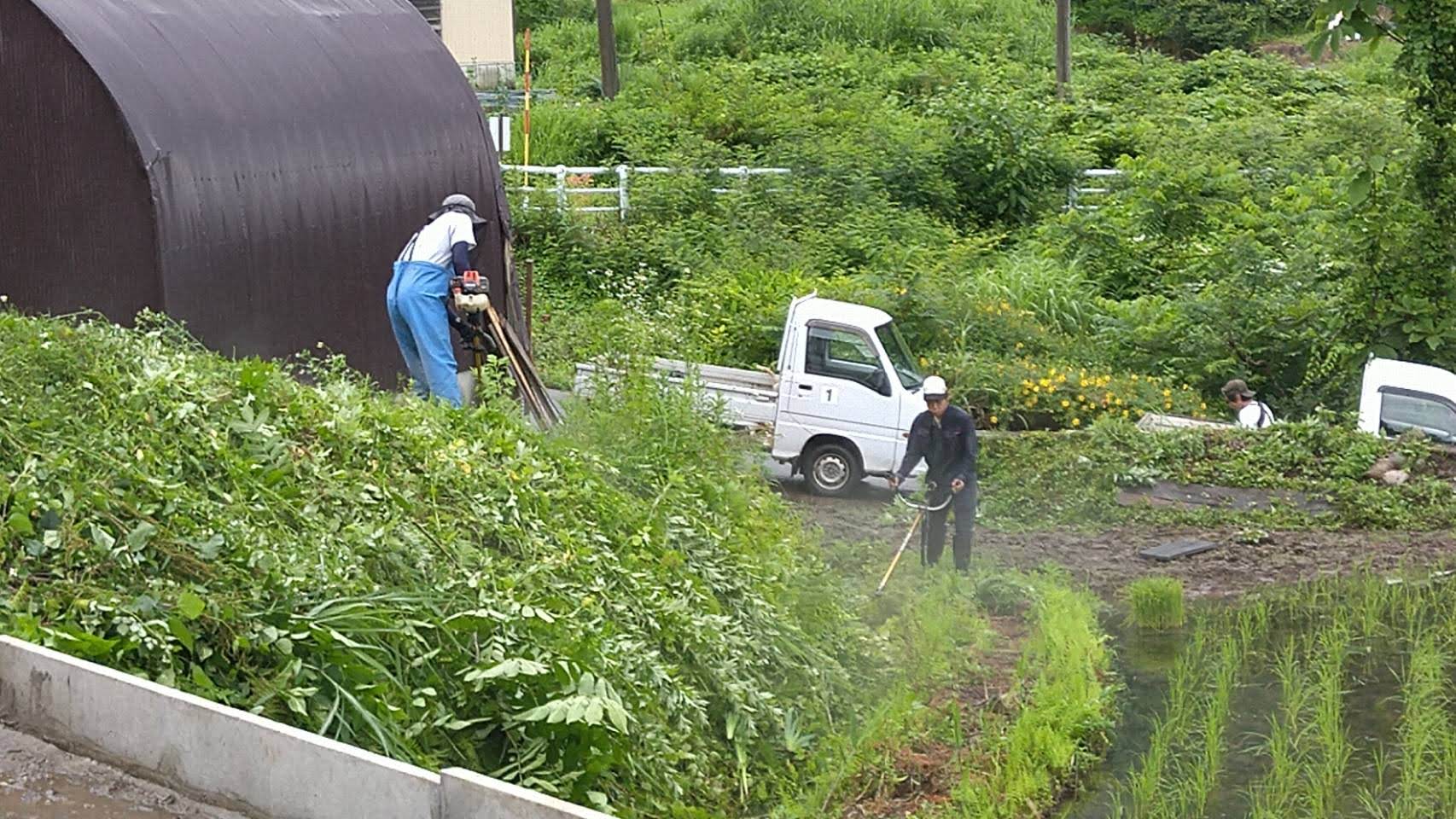 思い出横丁