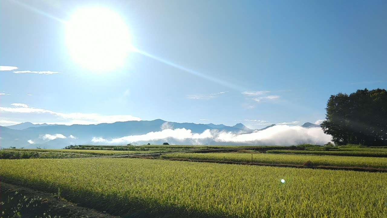 思い出横丁