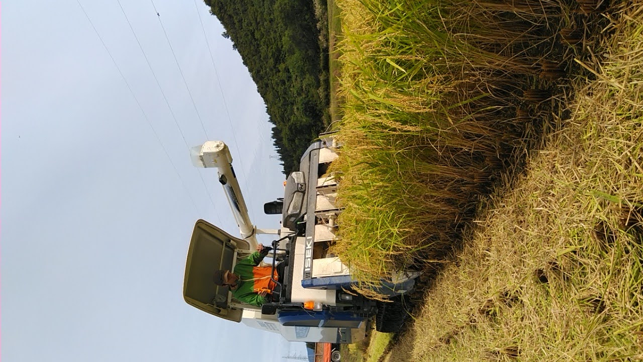 思い出横丁