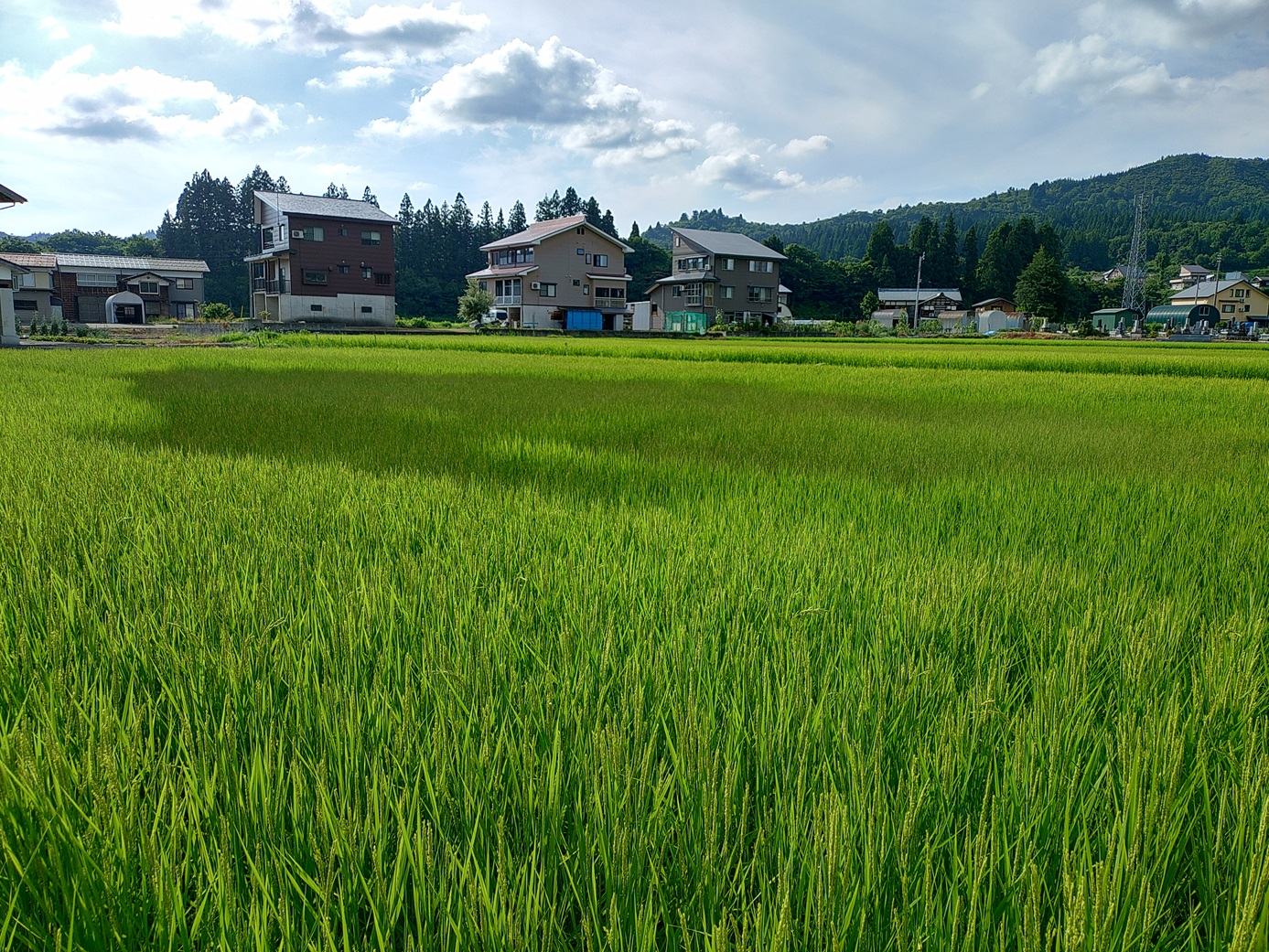 思い出横丁
