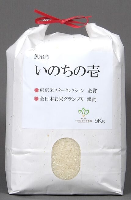 いのちの壱