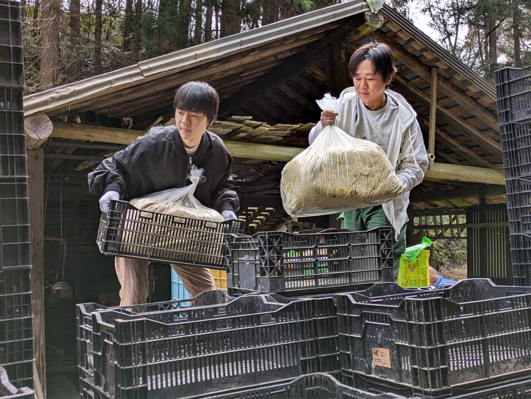 思い出横丁