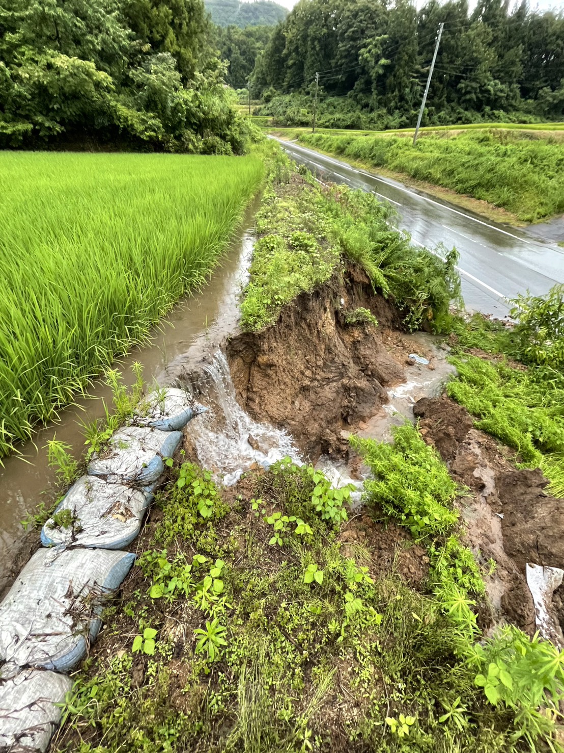 思い出横丁